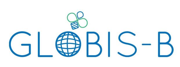 logo cordis proyecto globis-b