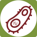 Logo AP-Waste