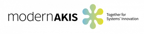 Logo ModernAKIS