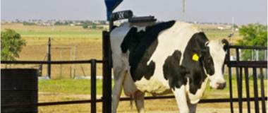 https://www.juntadeandalucia.es/agriculturaypesca/ifapa/cursosyjornadas/es/curso/2023-k-b-g-309-1