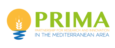 logo Programa PRIMA