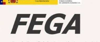 logo FEGA