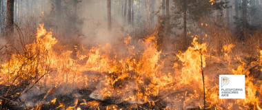 incendio forestal descontrolado