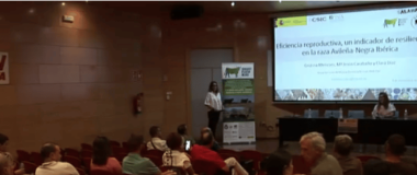 CAPTURA DEL VÍDEO