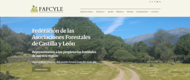 web de fafcyle
