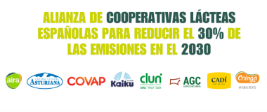 cartel del proyecto