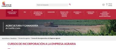 cursos