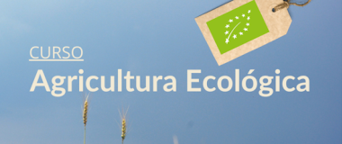 ecovalia