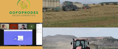 imágenes del proyecto go foprodes