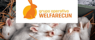logo del go welfarecun