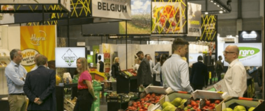 fruit attraction