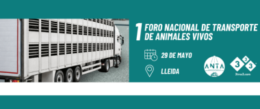 CARTEL DEL EVENTO