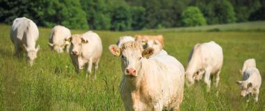 empresa agraria