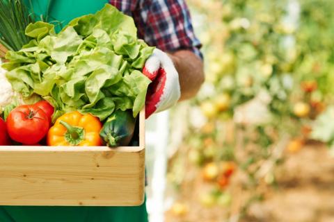 Caja de verduras maduras