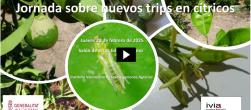 jornada trips